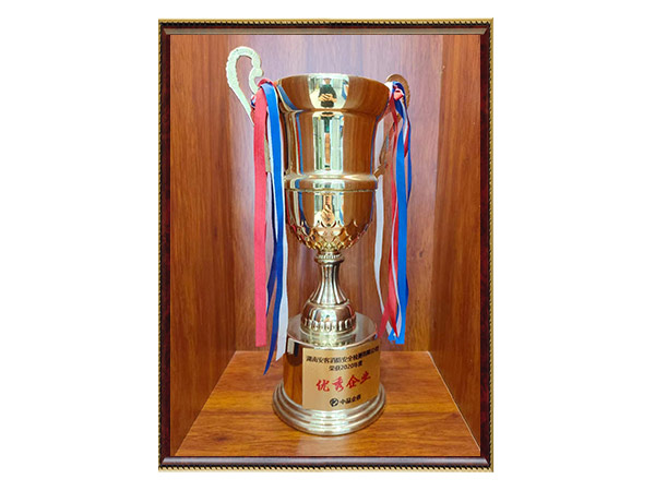 優(yōu)秀企業(yè)2